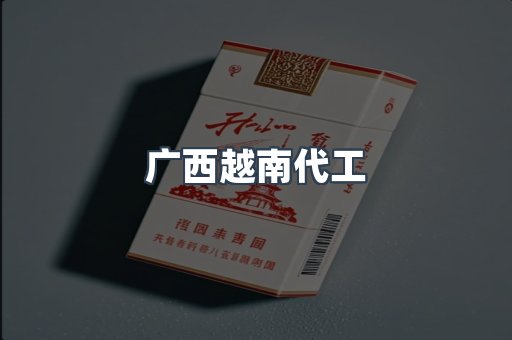 广西越南代工